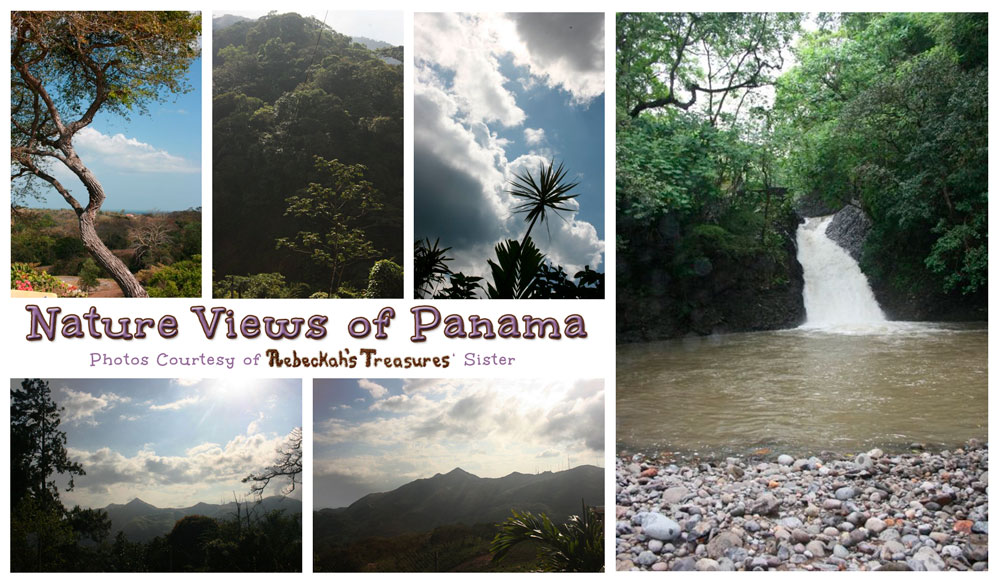 Nature Views of Panama via @beckastreasures