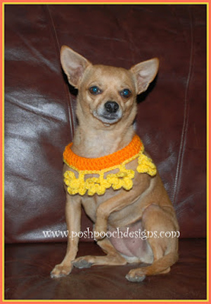 Marigold Dog Collar by Sara of Posh Pooch Designs | Featured on @beckastreasures Saturday Link Party with @PoshPoochDesign!